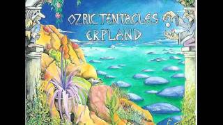 Ozric Tentacles. Mysticum Arabicola