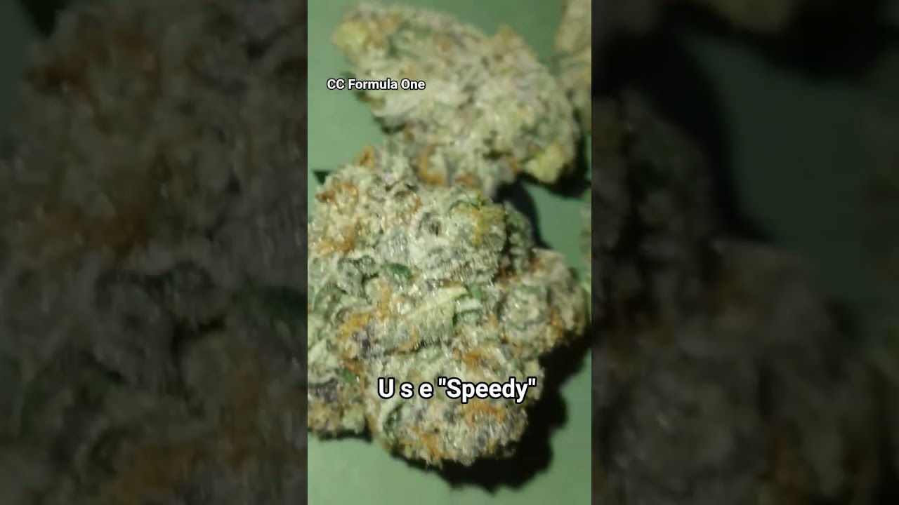 Canna Cured Formula One Thca Flower is 🔥🔥🔥 #cannacured