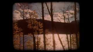 Neville Skelly - Falling Leaves
