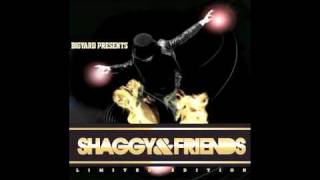 Shaggy-Reggae Vibes