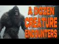 A Dozen Bigfoot Stories Best Of Vol 10