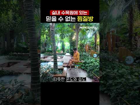 도심 속 숨겨진 오아시스: 가든 푸실의 초록 힐링 체험