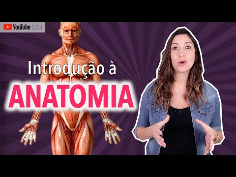 INTRODUÇÃO À ANATOMIA: Posição anatômica e termos de relação