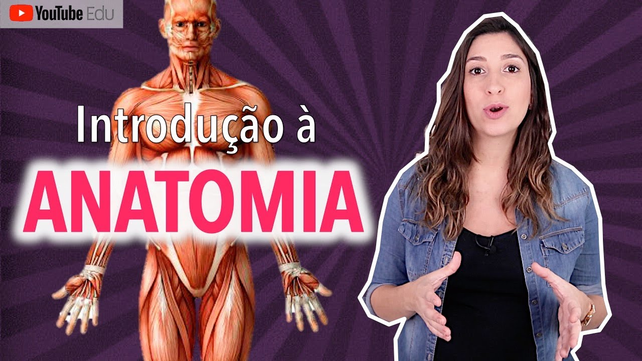 O Que Significa Anatomia