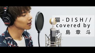 猫‐DISH//  covered by 手島章斗