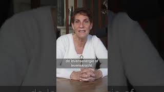 HSP als overlevingsmechanisme?