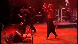 Die Aporalyptischen Reiter 2000 Unter Der Asche