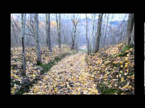 Babu Król - Co noc...