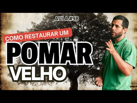 Aula #98-O seu pomar já não produz como antes? Saiba como Recuperá-lo