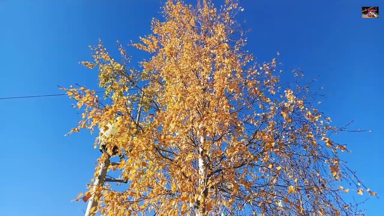 Воркута. 02.10.26. Супер прогулка по Воркуте. Часть первая.