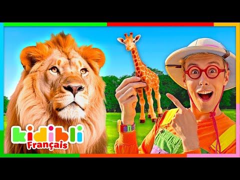 Découvrons les Animaux de la Savane ! | Vidéos Educatives pour Enfants | Kidibli