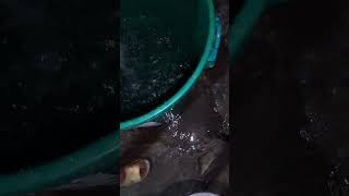 FRP system lang ang solusyon sa maduming tubig ni Prime water!