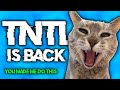 Fine Here S Your Stupid Try Not To Laugh Video