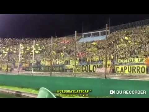 "Bolso vos sos un cagón, lo volviste a demostrar ðŸŽº - Peñarol vs Nacional" Barra: Barra Amsterdam &bull; Club: Peñarol