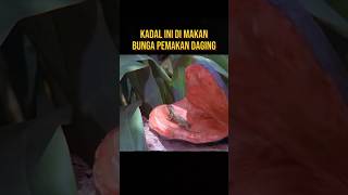 Download lagu HARD LIFE IN ANCIENT TIMES #moviestoryline #film #viralvideo mp3