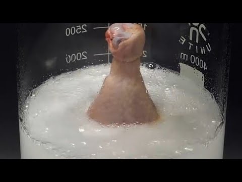 Piranha Solution + Raw Chicken | Science Experiment.