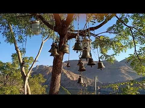 Temple Bell multiple