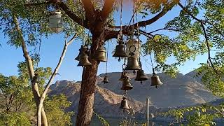 Temple Bell multiple