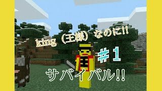 【Minecraft】king（王様）なのにサバイバル♯1（これからサバイバル!!）