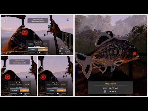 4 MEGA MONSTER PIRANHA'S IN ONE DAY - Fishing Planet
