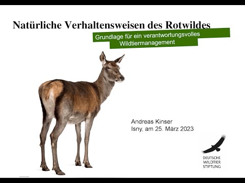 "Natürliche Verhaltensweisen des Rotwildes": Vortrag von Andreas Kinser bei der Süddt. Rotwildtagung