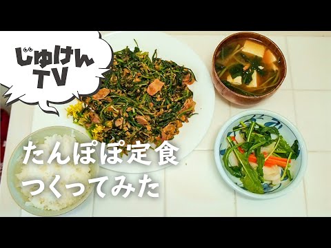 庭で採れたタンポポを食べてもいいですか？彼らの利点は何ですか?どのように選んで保管すればよいでしょうか？  庭園