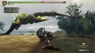 久々にやったらまじでへたくそになってた #21【MH3G/HD】