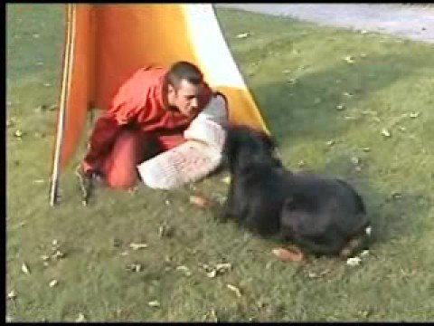 Ismael De Vos on the police open day !