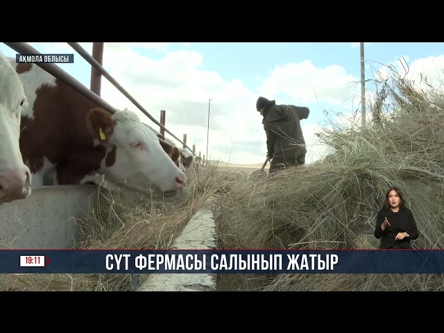 Ақмола облысының Анар ауылында сүт фермасы салынып жатыр