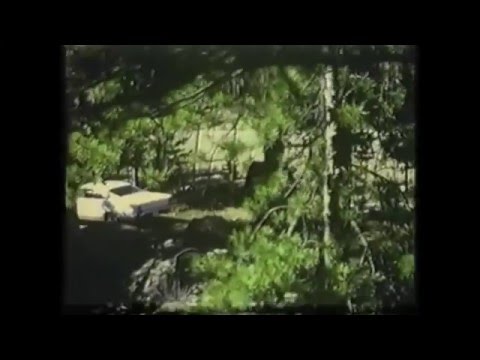 BEETLES CROSSROADS PROGRAM 14 - Where Is Paul?