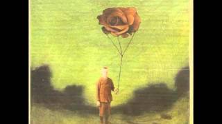 Hidden in Plain View - Halcyon Daze