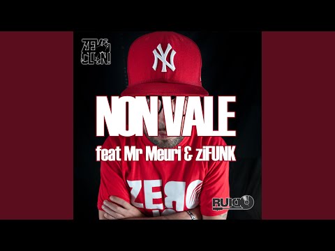 Non Vale (feat. Mr Meuri & Zifunk)