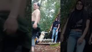 Download lagu sangkebirat#SHORTS mp3