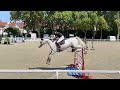 CHEVAL DE CSO 12 ANS