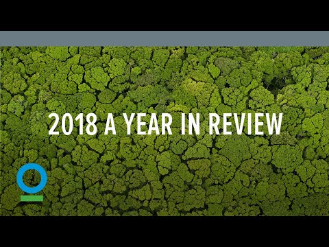 2018: um ano em análise