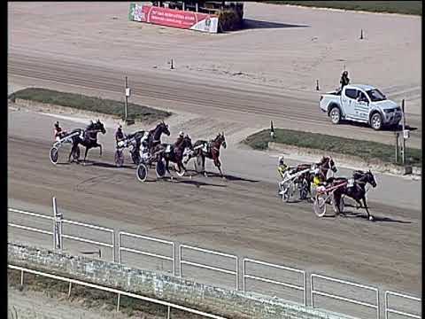 Trotto 13/09/2019 - 1ª corsa