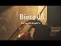 Binte dil sond with lyrics 🥀 (Slow + Reverb)