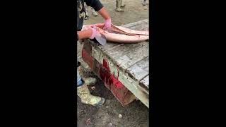 Indigenous Knowledge | Sharing: Video 5