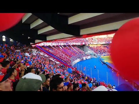 "Hinchada de Cerro Porteño - Porque vos desde chico sos mi enfermedad" Barra: La Plaza y Comando • Club: Cerro Porteño