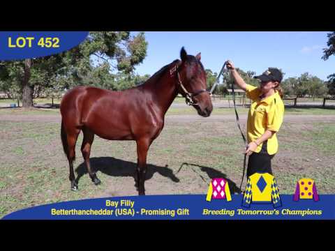 Lot 452   Betterthancheddar   Promising Gift