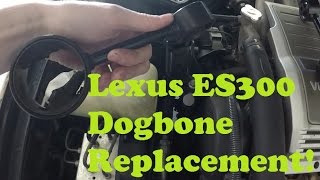 Lexus ES300 Upper Motor Mount Replacement