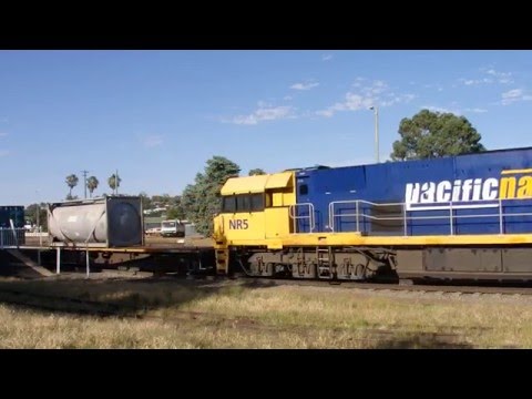 Junee Trains NR7, NR101, NR63 & NR5 with 3MW2
