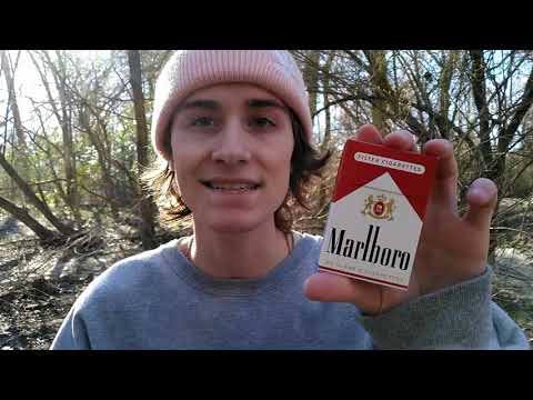 Do Cigarettes Expire