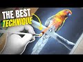 5 Simple Steps To Master Glazing In Acrylics