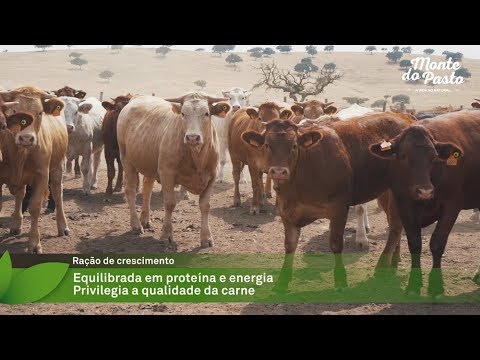 Fórmula própria de rações para animais criados ao ar-livre