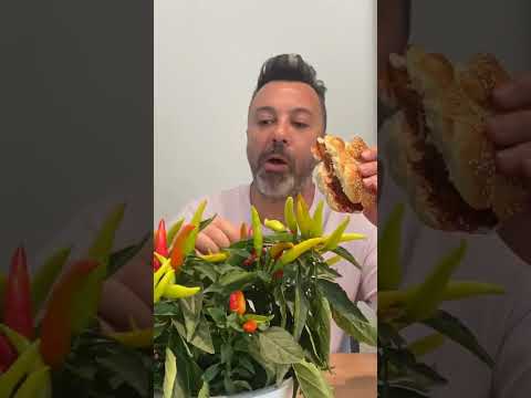 מי הכי חזק בחריף?!