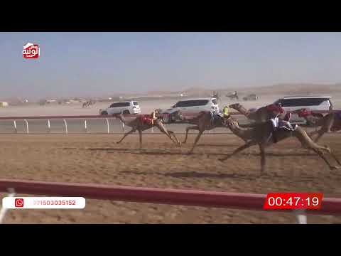  ش 22 (طوفان) لـ نايف علي بن سالم الغيلاني 1:46 , شارة الصندوق 2026/2/14 فطامين الروضة