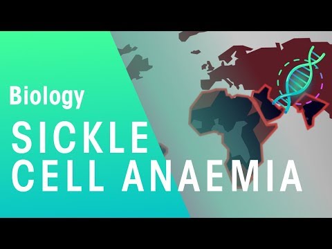 Sickle cell anaemia | Genetics | Biology | FuseSchool