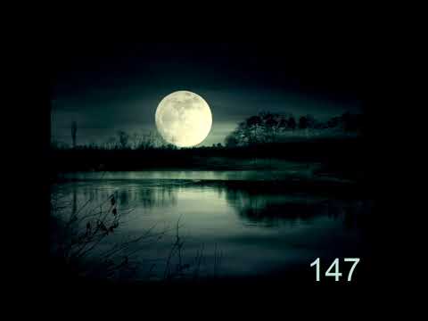 DON VLADULJEV X NeDa - FREESTYLE