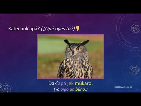 Let's Talk Taíno en español 49 - Sentido del oído 👂🧏‍♀️